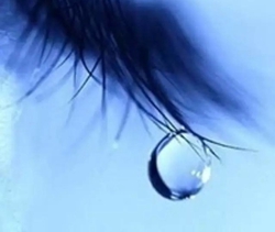 tears简谱 曾经让你为之忧伤的事都已成为过眼云烟
