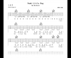 Numb Little Bug吉他谱_Em Beihold_G调弹唱六线谱