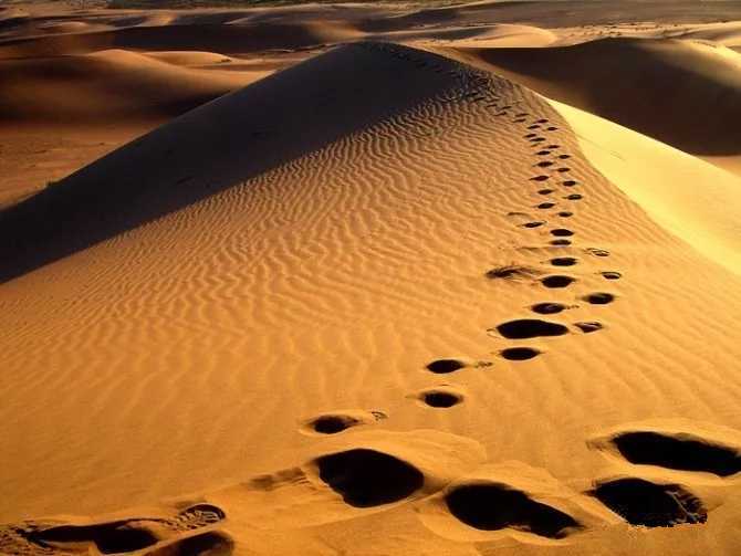 沙漠骆驼尤克里里谱 展展&罗罗 蹉跎着岁月又蹉跎了自我4