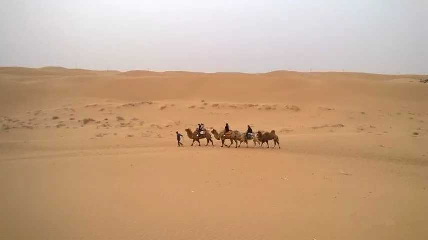 沙漠骆驼尤克里里谱 展展&罗罗 蹉跎着岁月又蹉跎了自我3